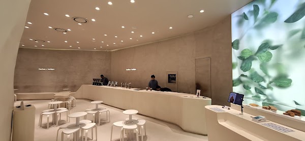 harlan + holden coffee - magnolia