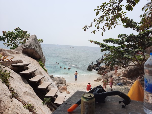 Free beach to shark bay 5