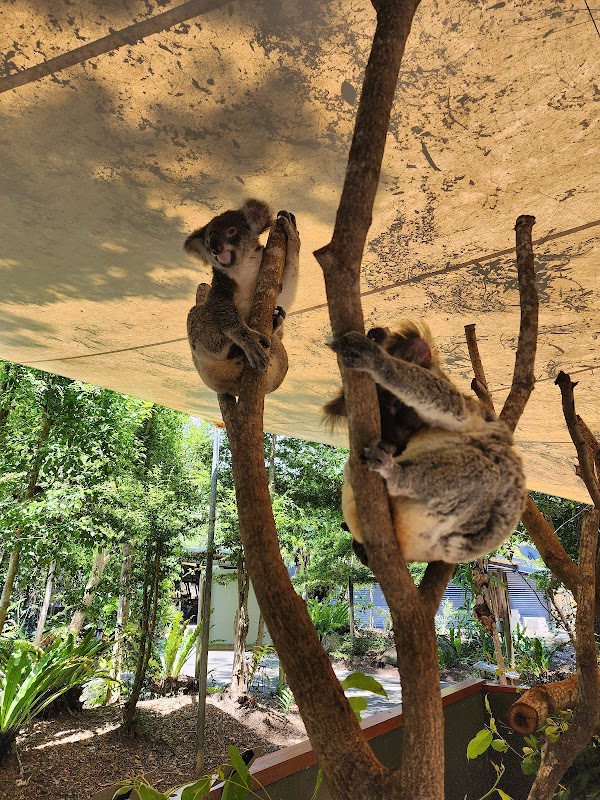 Hartley's Crocodile Adventures 3