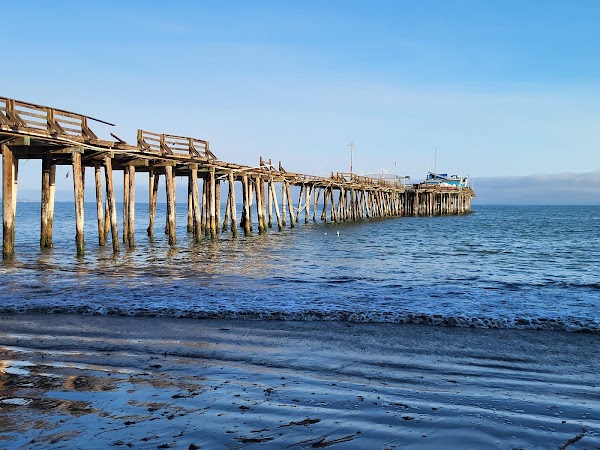 Capitola State Beach 3