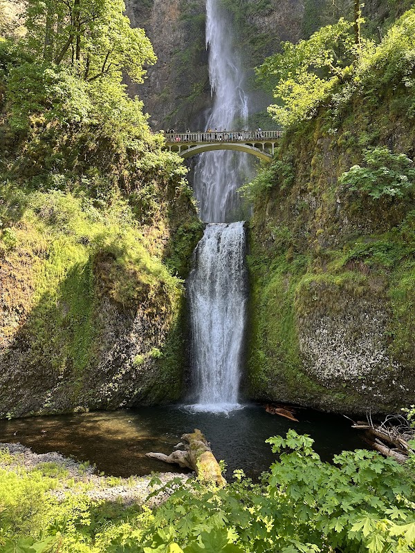 Multnomah Falls 1