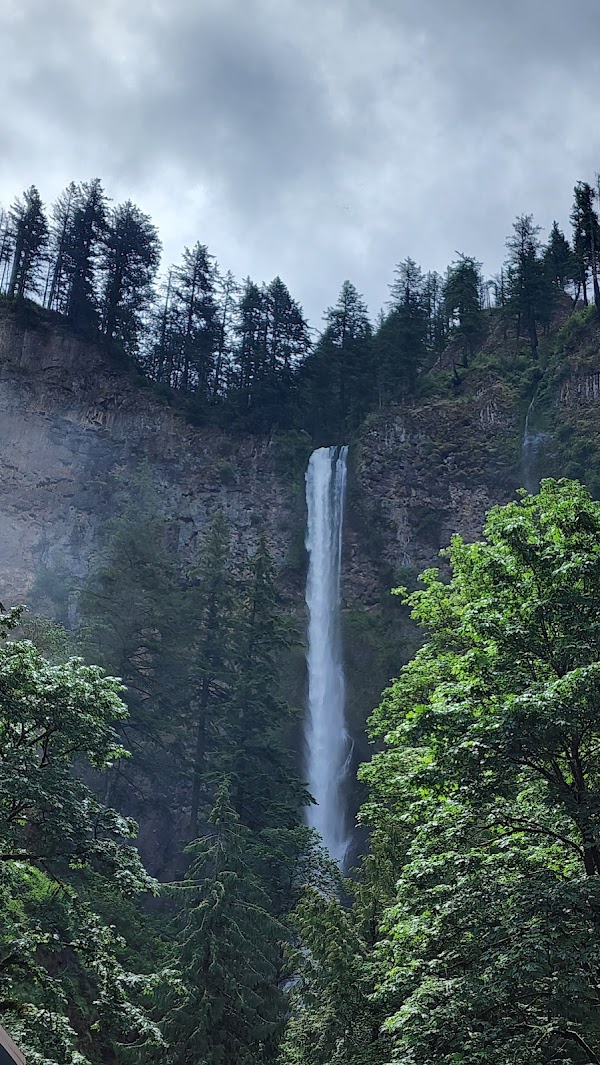 Multnomah Falls 5