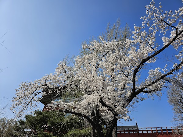 Seoul Children's Grand Park 5