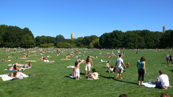 The Great Lawn 4