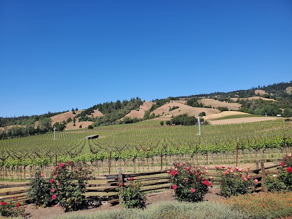 Navarro Vineyards & Winery 5