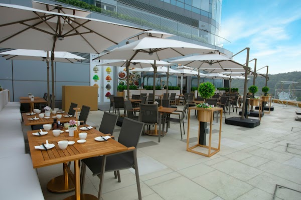 樂天皇朝Paradise Dynasty 1