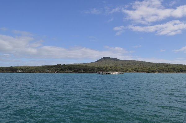 Rangitoto Island 1