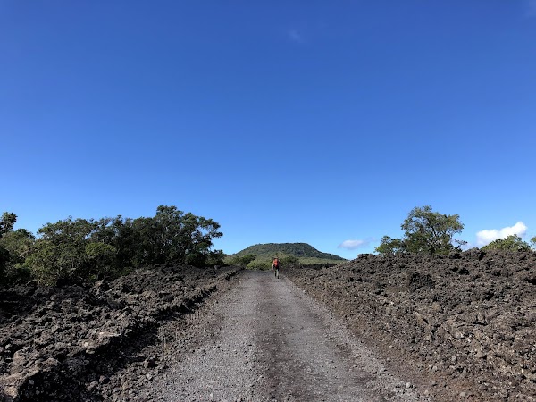 Rangitoto Island 4