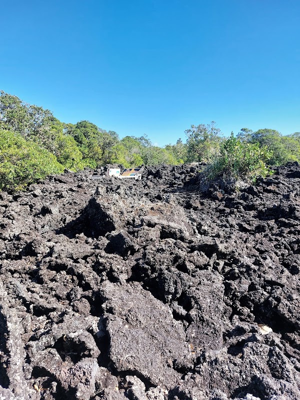 Rangitoto Island 3