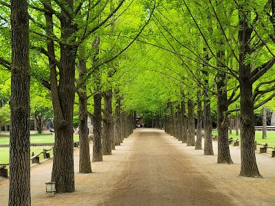 Nami Island