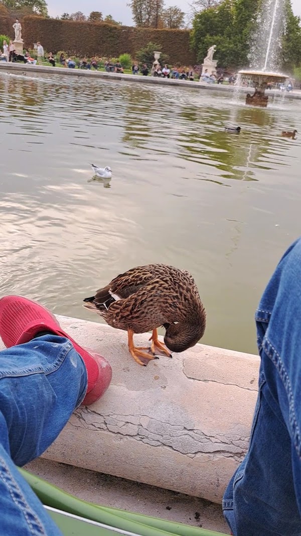 Narrowest street in Paris 2
