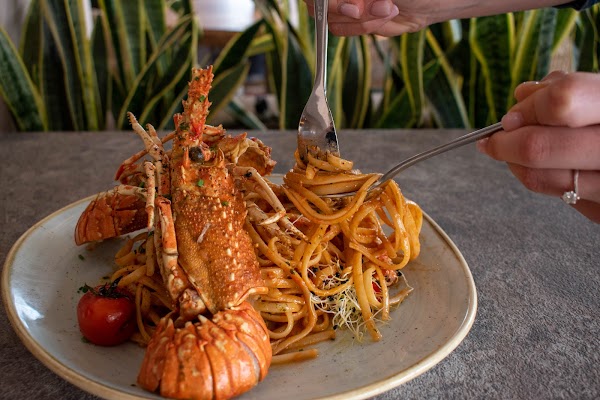 Tholoto Brunch & Restaurant 5