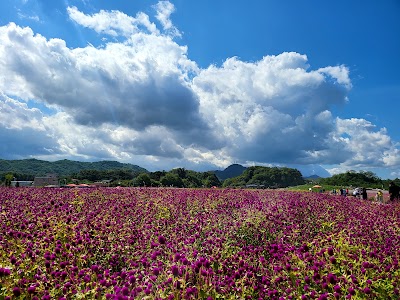 Nari Park