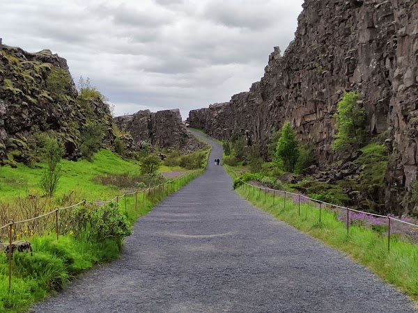 Thingvellir National Park 5