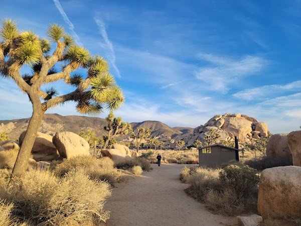 Joshua Tree National Park