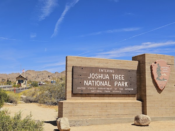 Joshua Tree National Park 4