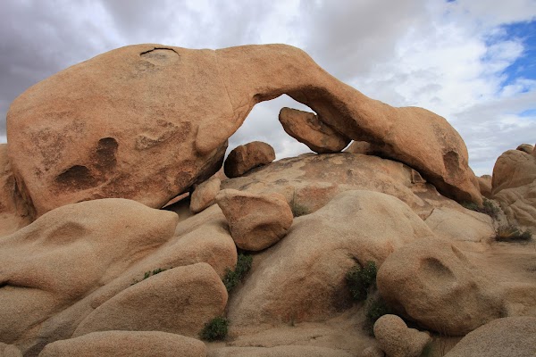 Joshua Tree National Park 3