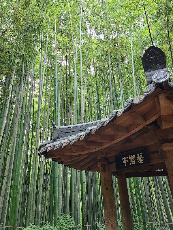 Juknokwon (Bamboo Forest) 5