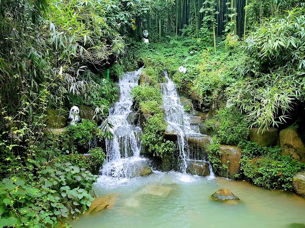 Juknokwon (Bamboo Forest) 4