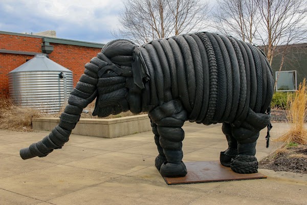 The Elephant Sanctuary in Tennessee — Elephant Discovery Center 5