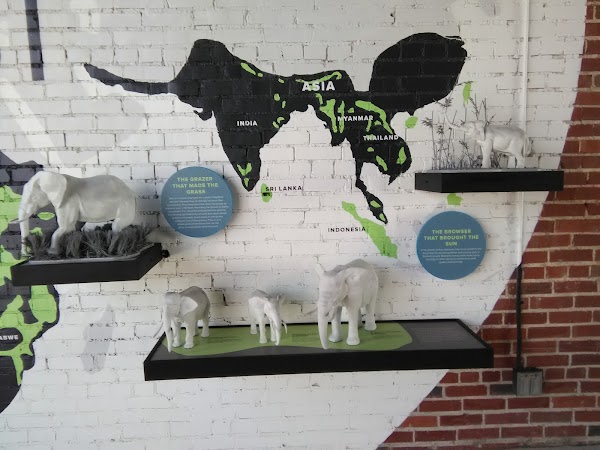 The Elephant Sanctuary in Tennessee — Elephant Discovery Center 4