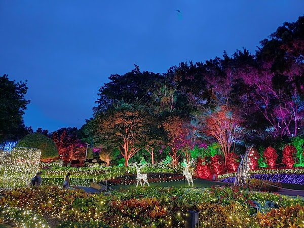 Roma Street Parkland 4