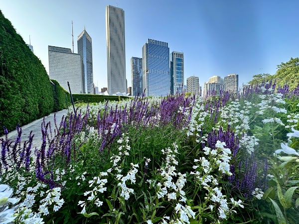 Lurie Garden 6