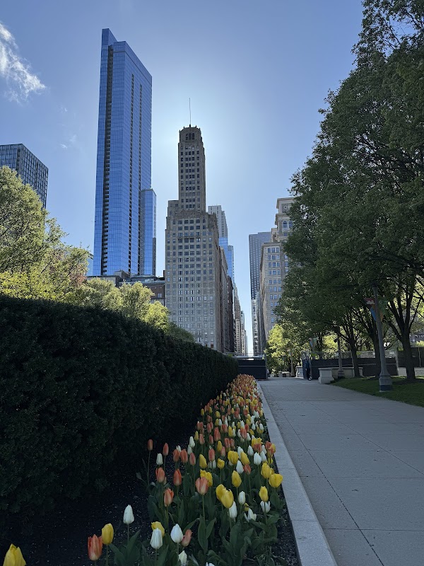 Lurie Garden 5