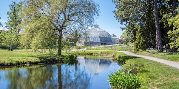 Bergianska trädgården 4