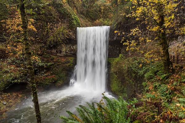 Silver Falls State Park 5