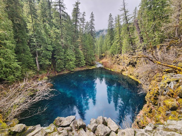 Tamolitch Falls (Blue Pool) 1