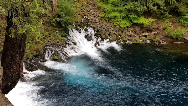 Tamolitch Falls (Blue Pool) 5