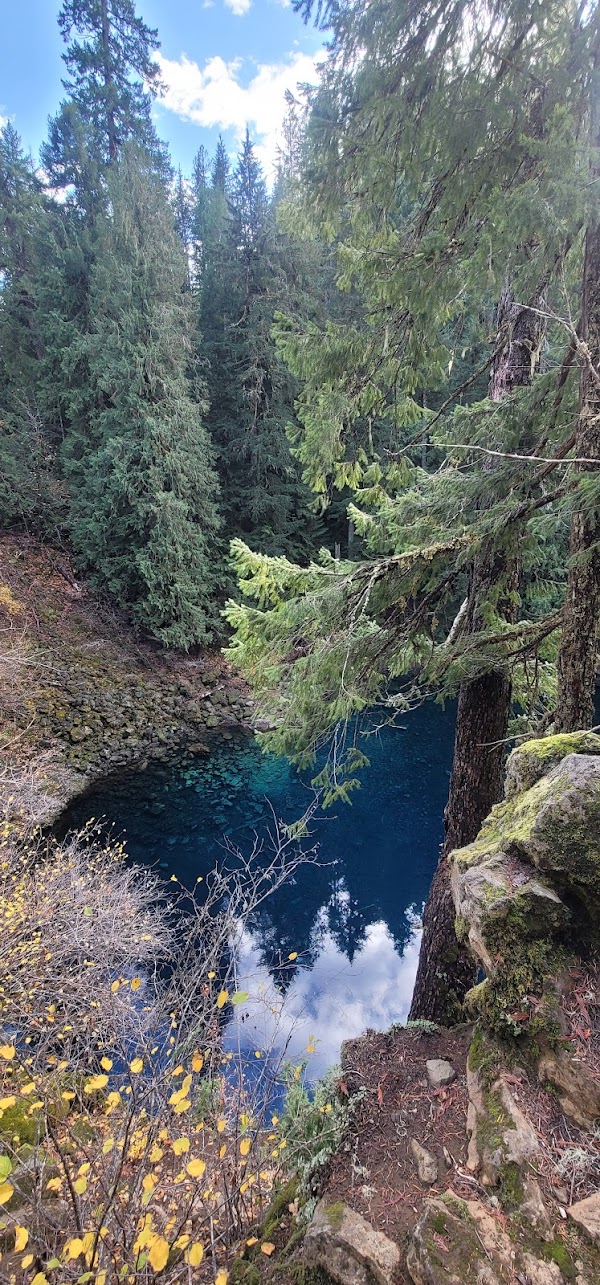 Tamolitch Falls (Blue Pool) 4