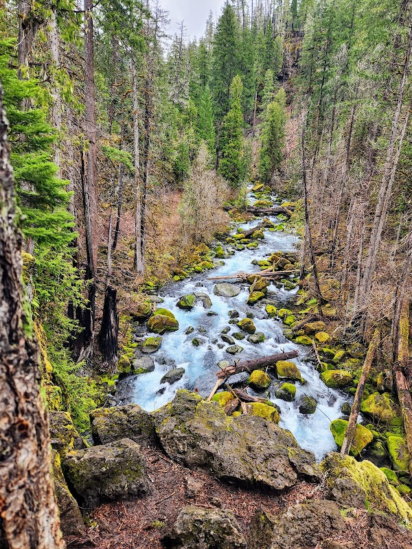 Tamolitch Falls (Blue Pool) 3
