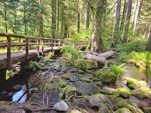 Tamolitch Falls (Blue Pool) 2