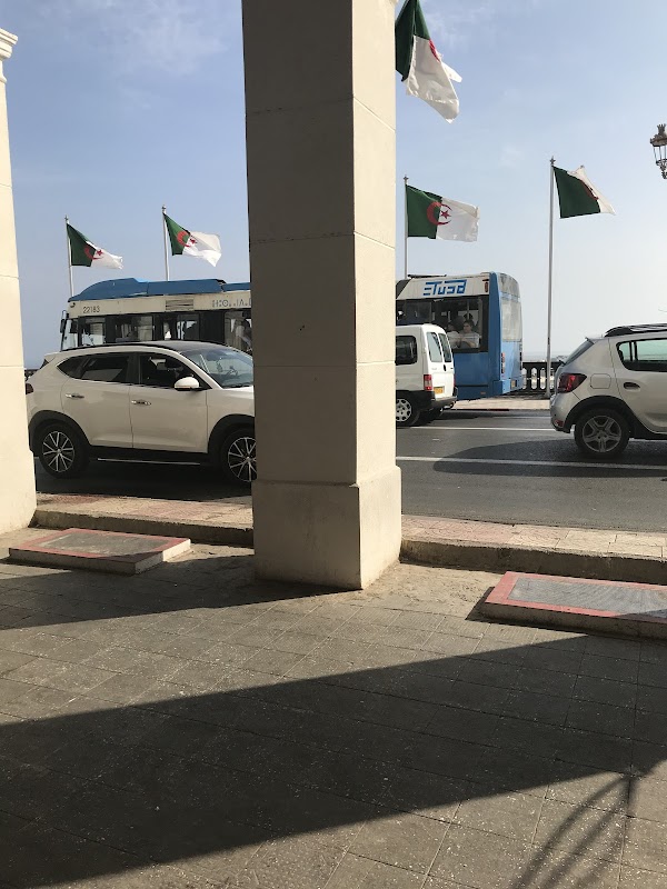 Restaurant du Square Port Said 4