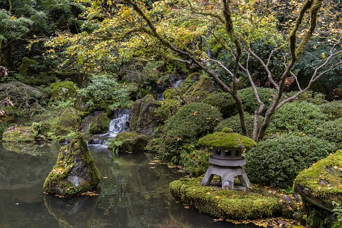 Portland Japanese Garden 5