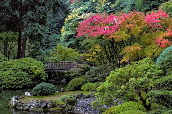 Portland Japanese Garden 4