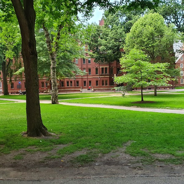 Harvard Square 2