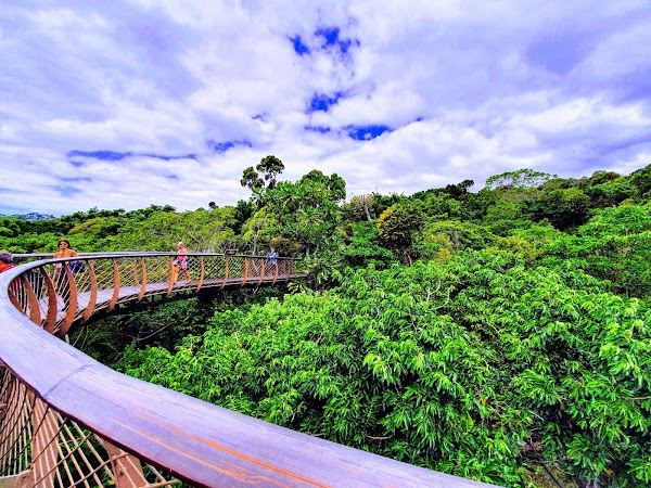 Kirstenbosch National Botanical Garden 5
