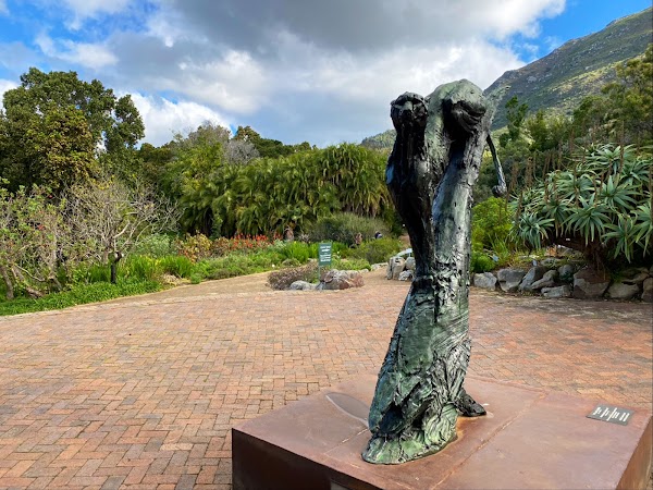 Kirstenbosch National Botanical Garden 4