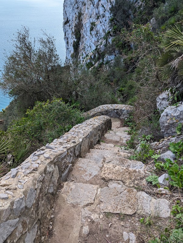 Mediterranean Steps 1