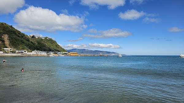 Island Bay Beach