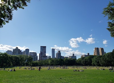Sheep Meadow 1