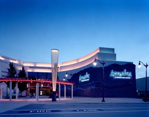 Aquarium Restaurant 1