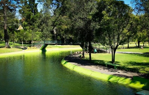 Parque La Carolina 6