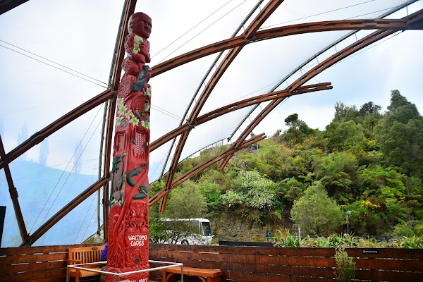 Waitomo Glowworm Caves 3