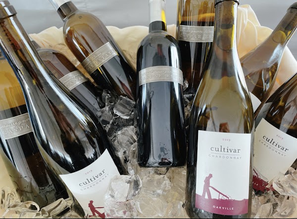 Cultivar San Francisco 2