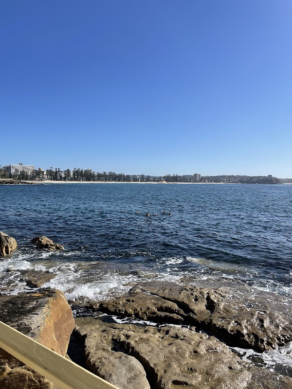 Cabbage Tree Bay Aquatic Reserve 2