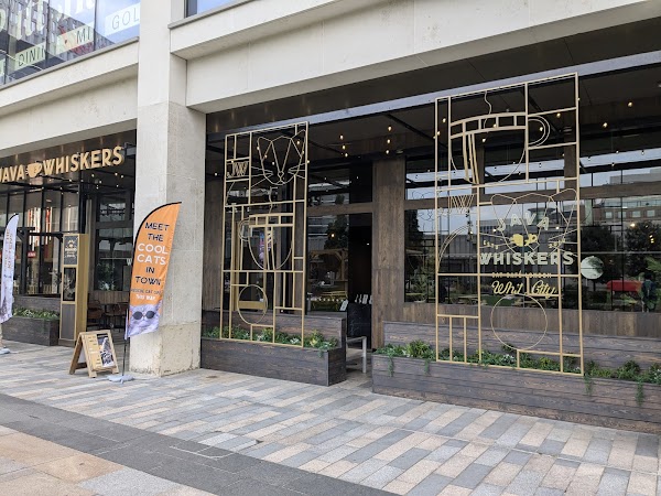 Java Whiskers Cat Café White City